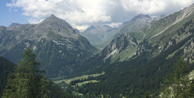 Meditation & Mindfulness for Wellbeing